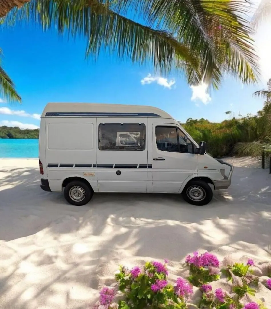 Mercedes Sprinter Buddina